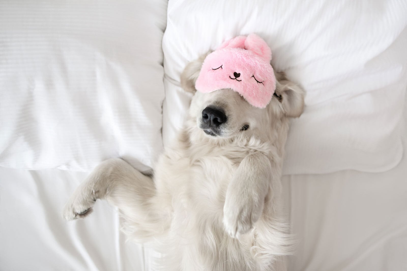 snoremd sleep well this holiday with these tips pxw1600