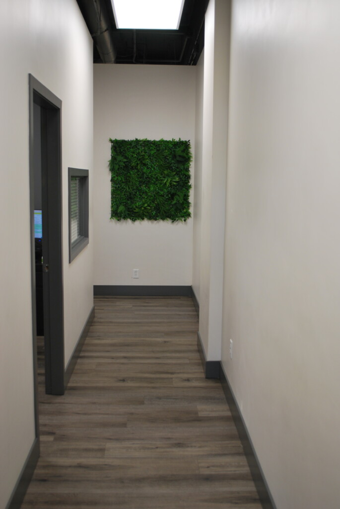 dsc 6138 Snore MD Walnut Grove