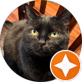 Kyla Avatar